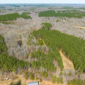 Photo #16 of SOLD property in Off Turner Road, Reidsville, NC 73.3 acres