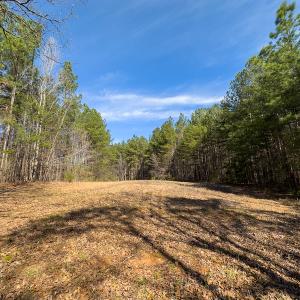 Photo #17 of SOLD property in Off Turner Road, Reidsville, NC 73.3 acres