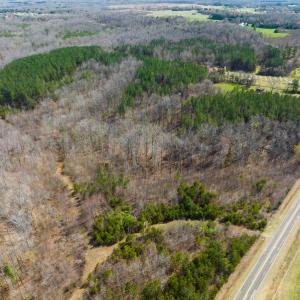 Photo #19 of Off Turner Road, Reidsville, NC 73.3 acres