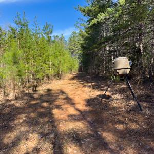 Photo #22 of Off Turner Road, Reidsville, NC 73.3 acres