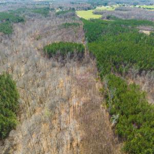 Photo #23 of SOLD property in Off Turner Road, Reidsville, NC 73.3 acres