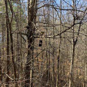 Photo #24 of Off Turner Road, Reidsville, NC 73.3 acres