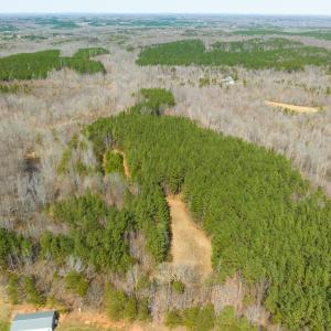 Photo #25 of SOLD property in Off Turner Road, Reidsville, NC 73.3 acres