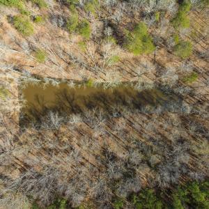 Photo #27 of Off Turner Road, Reidsville, NC 73.3 acres