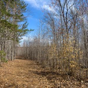 Photo #28 of Off Turner Road, Reidsville, NC 73.3 acres