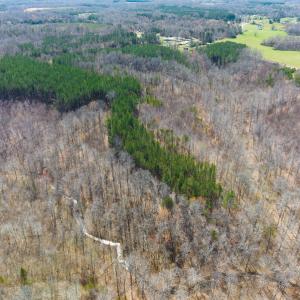 Photo #29 of SOLD property in Off Turner Road, Reidsville, NC 73.3 acres