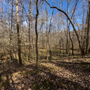 Photo #30 of SOLD property in Off Turner Road, Reidsville, NC 73.3 acres