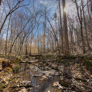 Photo #32 of Off Turner Road, Reidsville, NC 73.3 acres