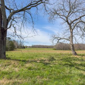 Photo #33 of SOLD property in Off Turner Road, Reidsville, NC 73.3 acres