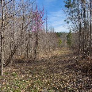 Photo #34 of SOLD property in Off Turner Road, Reidsville, NC 73.3 acres