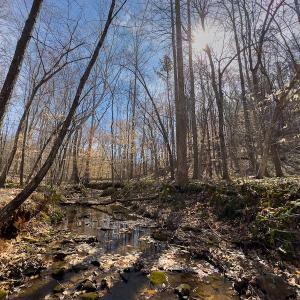 Photo #36 of Off Turner Road, Reidsville, NC 73.3 acres