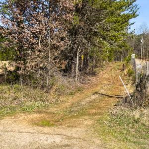 Photo #37 of Off Turner Road, Reidsville, NC 73.3 acres