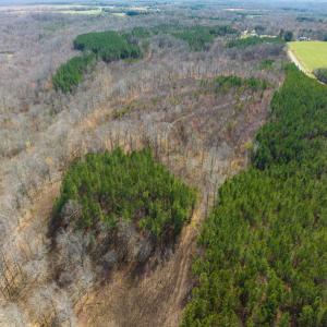 Photo #41 of SOLD property in Off Turner Road, Reidsville, NC 73.3 acres