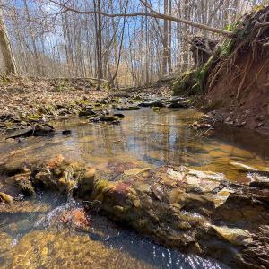 Photo #42 of Off Turner Road, Reidsville, NC 73.3 acres