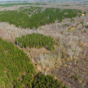 Photo #43 of SOLD property in Off Turner Road, Reidsville, NC 73.3 acres