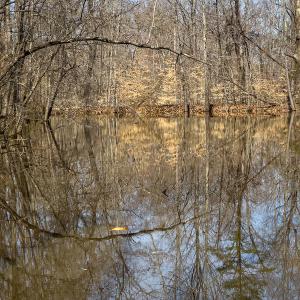 Photo #44 of Off Turner Road, Reidsville, NC 73.3 acres