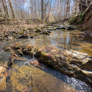 Photo #45 of Off Turner Road, Reidsville, NC 73.3 acres