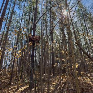 Photo #48 of Off Turner Road, Reidsville, NC 73.3 acres