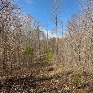 Photo #49 of SOLD property in Off Turner Road, Reidsville, NC 73.3 acres