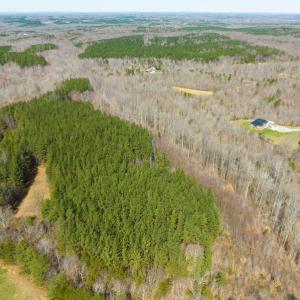 Photo #50 of SOLD property in Off Turner Road, Reidsville, NC 73.3 acres