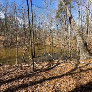 Photo #51 of SOLD property in Off Turner Road, Reidsville, NC 73.3 acres