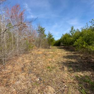 Photo #53 of SOLD property in Off Turner Road, Reidsville, NC 73.3 acres