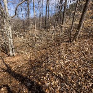 Photo #56 of SOLD property in Off Turner Road, Reidsville, NC 73.3 acres