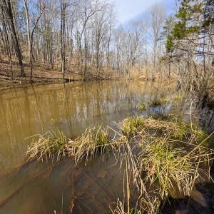 Photo #57 of Off Turner Road, Reidsville, NC 73.3 acres