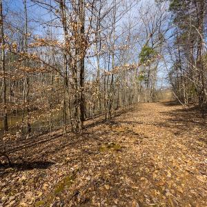 Photo #58 of SOLD property in Off Turner Road, Reidsville, NC 73.3 acres