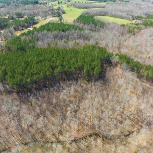 Photo #59 of SOLD property in Off Turner Road, Reidsville, NC 73.3 acres