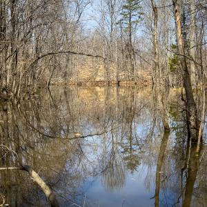 Photo #60 of SOLD property in Off Turner Road, Reidsville, NC 73.3 acres