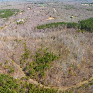 Photo #62 of SOLD property in Off Turner Road, Reidsville, NC 73.3 acres