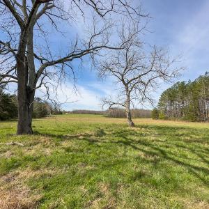 Photo #68 of Off Turner Road, Reidsville, NC 73.3 acres