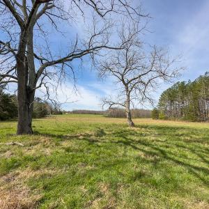 Photo #68 of SOLD property in Off Turner Road, Reidsville, NC 73.3 acres