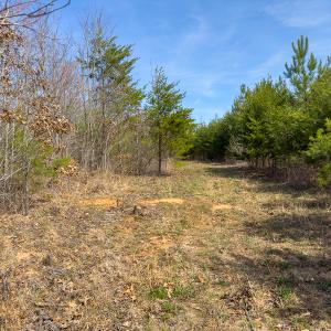 Photo #69 of SOLD property in Off Turner Road, Reidsville, NC 73.3 acres