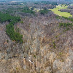 Photo #70 of Off Turner Road, Reidsville, NC 73.3 acres