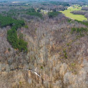 Photo #70 of SOLD property in Off Turner Road, Reidsville, NC 73.3 acres