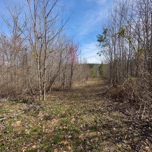 Photo #72 of SOLD property in Off Turner Road, Reidsville, NC 73.3 acres