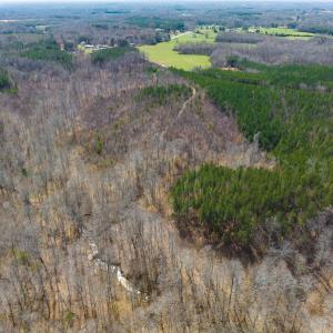 Photo #73 of Off Turner Road, Reidsville, NC 73.3 acres