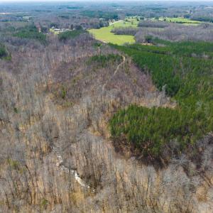 Photo #73 of SOLD property in Off Turner Road, Reidsville, NC 73.3 acres