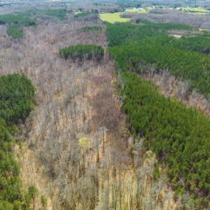 Photo #75 of SOLD property in Off Turner Road, Reidsville, NC 73.3 acres