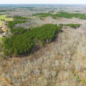 Photo #77 of SOLD property in Off Turner Road, Reidsville, NC 73.3 acres