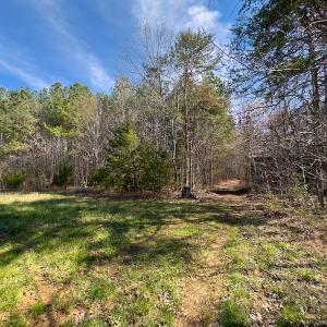 Photo #79 of Off Turner Road, Reidsville, NC 73.3 acres