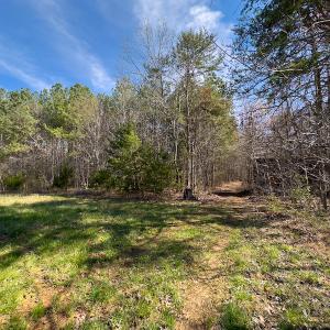 Photo #79 of SOLD property in Off Turner Road, Reidsville, NC 73.3 acres