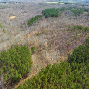 Photo #80 of SOLD property in Off Turner Road, Reidsville, NC 73.3 acres