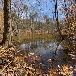 Photo #81 of SOLD property in Off Turner Road, Reidsville, NC 73.3 acres