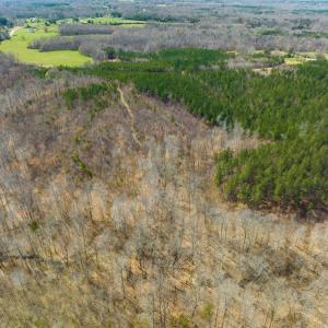 Photo #84 of SOLD property in Off Turner Road, Reidsville, NC 73.3 acres