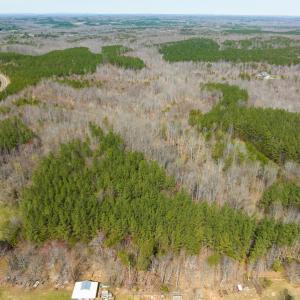 Photo #85 of SOLD property in Off Turner Road, Reidsville, NC 73.3 acres