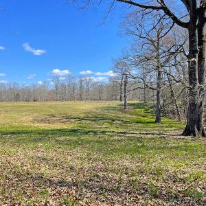 Photo #10 of SOLD property in 801 Greg Lane, Williamsburg, VA 50.0 acres