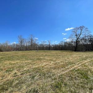 Photo #12 of 801 Greg Lane, Williamsburg, VA 50.0 acres